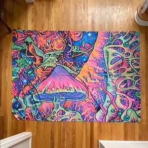 Source Unknown Pink and Blue Tapestry Wall Decor